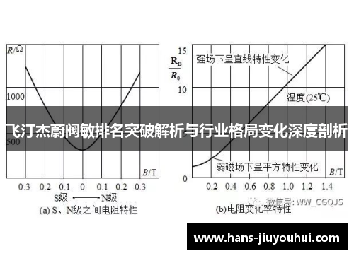 飞汀杰蔚阀敏排名突破解析与行业格局变化深度剖析 飞汀杰蔚阀敏排名突破解析与行业格局变化深度剖析